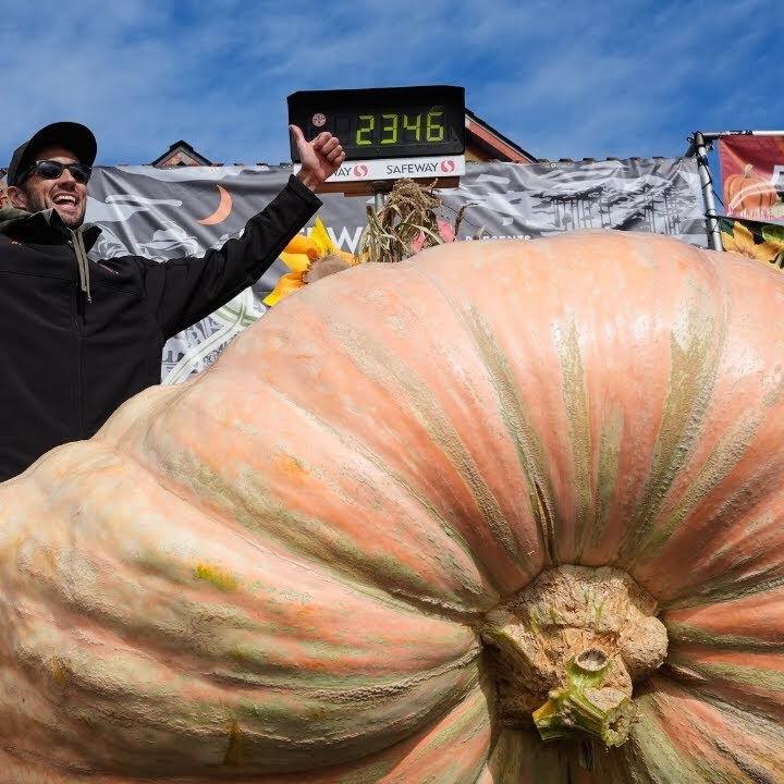 California engineer wins pumpkin contest with 2,346-pound gourd